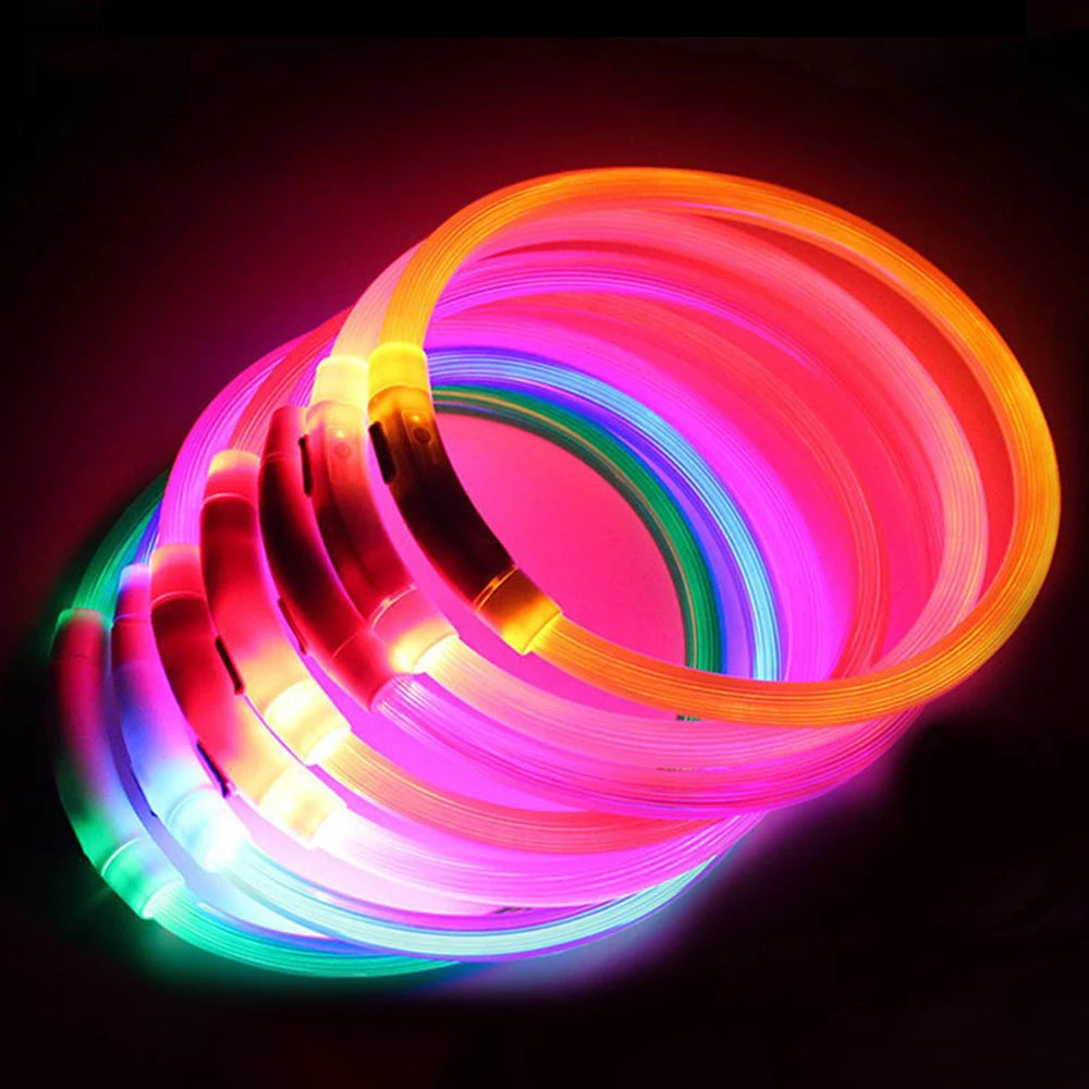 BeamingBright™ - LED Dog Collar